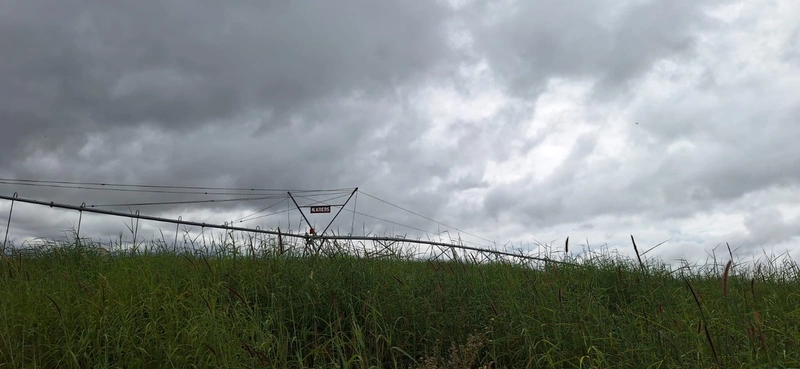 Arrendamento para soja PIVÔS + SEQUEIRO + PASTO: 9ª foto da galeria de imagens do imóvel