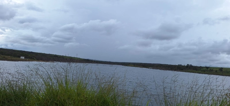 Arrendamento para soja PIVÔS + SEQUEIRO + PASTO: 1ª foto da galeria de imagens do imóvel