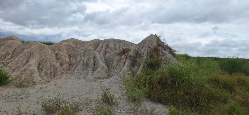 Arrendamento para soja PIVÔS + SEQUEIRO + PASTO: 5ª foto da galeria de imagens do imóvel