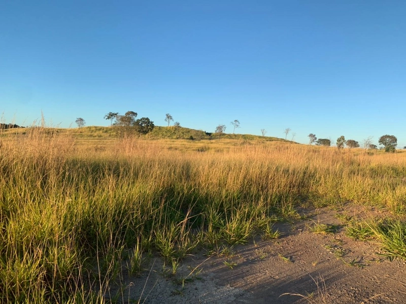 Fazenda 44 alq (212,96 ha) em Faina-GO, toda formada, ótima para gado.: 9ª foto da galeria de imagens do imóvel