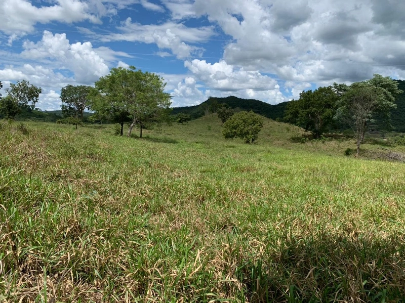 Fazenda 44 alq (212,96 ha) em Faina-GO, toda formada, ótima para gado.: 28ª foto da galeria de imagens do imóvel