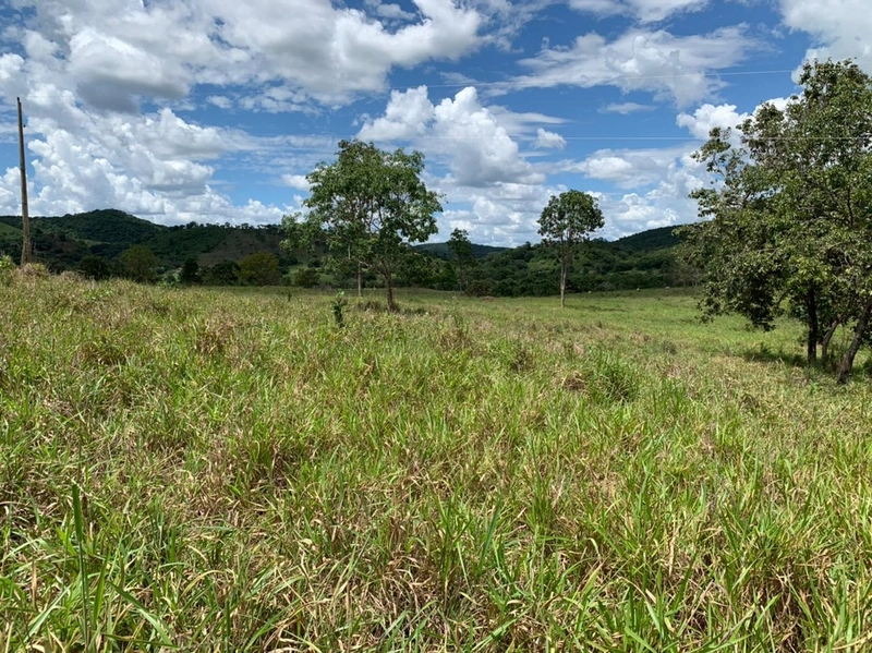 Fazenda 44 alq (212,96 ha) em Faina-GO, toda formada, ótima para gado.: 34ª foto da galeria de imagens do imóvel