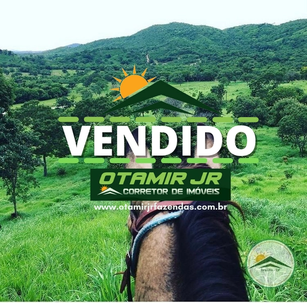 Fazenda 44 alq (212,96 ha) em Faina-GO, toda formada, ótima para gado.: 1ª foto da galeria de imagens do imóvel