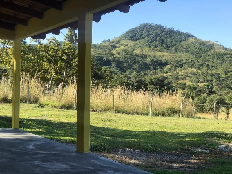 Fazenda 44 alq (212,96 ha) em Faina-GO, toda formada, ótima para gado.: 4ª foto da galeria de imagens do imóvel