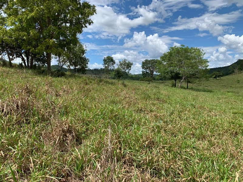 Fazenda 44 alq (212,96 ha) em Faina-GO, toda formada, ótima para gado.: 31ª foto da galeria de imagens do imóvel