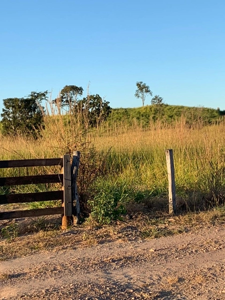 Fazenda 44 alq (212,96 ha) em Faina-GO, toda formada, ótima para gado.: 6ª foto da galeria de imagens do imóvel