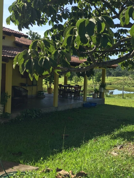 Fazenda 44 alq (212,96 ha) em Faina-GO, toda formada, ótima para gado.: 21ª foto da galeria de imagens do imóvel