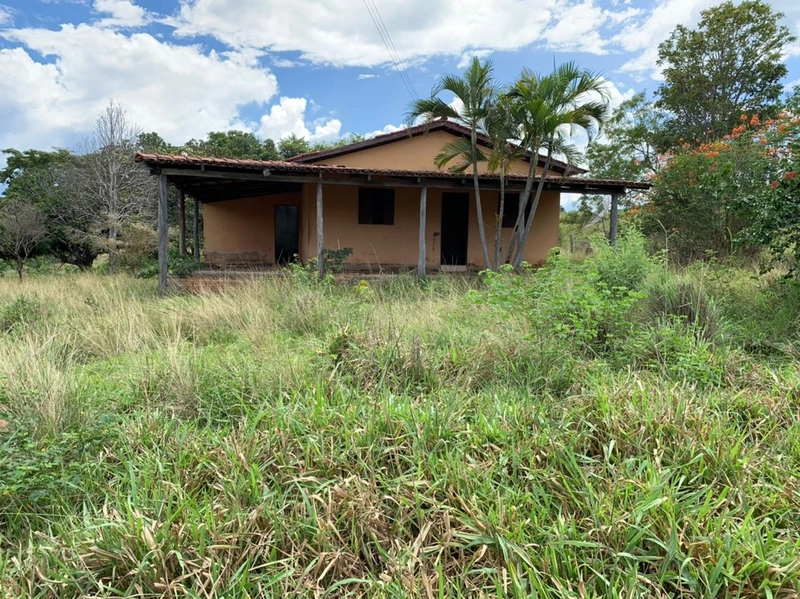 Fazenda 44 alq (212,96 ha) em Faina-GO, toda formada, ótima para gado.: 33ª foto da galeria de imagens do imóvel