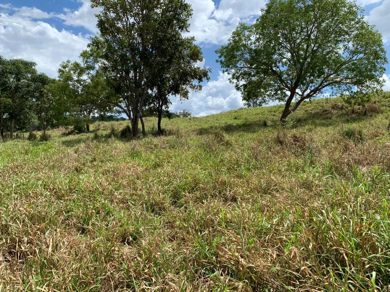 Fazenda 44 alq (212,96 ha) em Faina-GO, toda formada, ótima para gado.: 27ª foto da galeria de imagens do imóvel