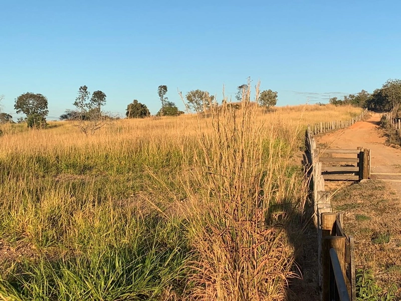 Fazenda 44 alq (212,96 ha) em Faina-GO, toda formada, ótima para gado.: 8ª foto da galeria de imagens do imóvel