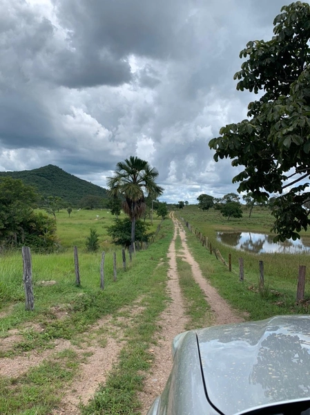 Fazenda 44 alq (212,96 ha) em Faina-GO, toda formada, ótima para gado.: 35ª foto da galeria de imagens do imóvel