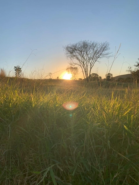 Fazenda 44 alq (212,96 ha) em Faina-GO, toda formada, ótima para gado.: 15ª foto da galeria de imagens do imóvel