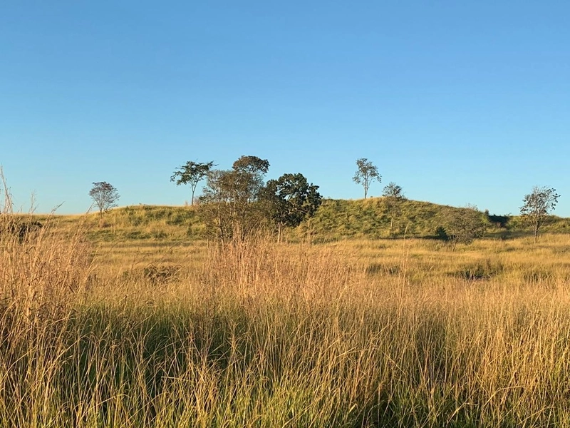 Fazenda 44 alq (212,96 ha) em Faina-GO, toda formada, ótima para gado.: 7ª foto da galeria de imagens do imóvel
