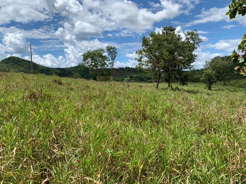 Fazenda 44 alq (212,96 ha) em Faina-GO, toda formada, ótima para gado.: 25ª foto da galeria de imagens do imóvel
