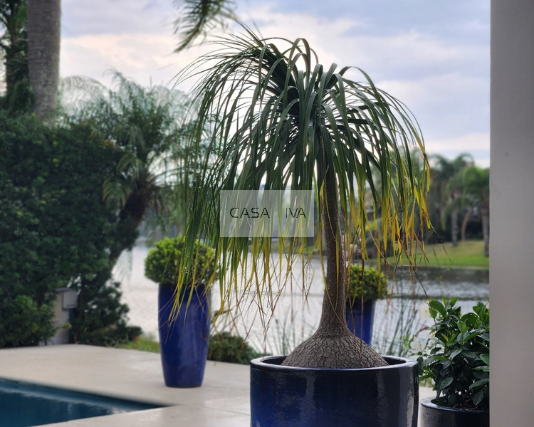 Mansão em condomínio fechado em Atlântida!: 44ª foto da galeria de imagens do imóvel