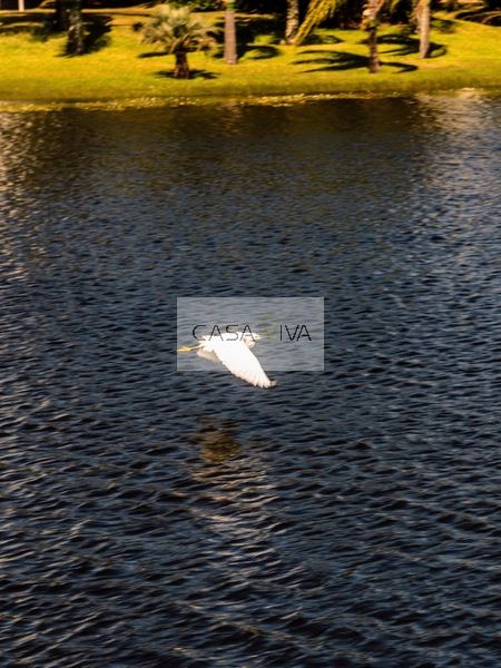 Mansão em condomínio fechado em Atlântida!: 38ª foto da galeria de imagens do imóvel