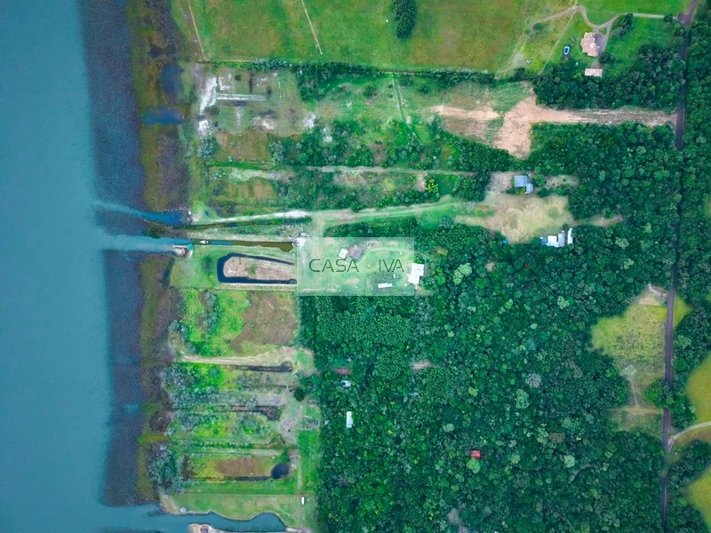 SÍTIO À VENDA À BEIRA DA LAGOA DO PALMITAL – OSÓRIO/RS: 17ª foto da galeria de imagens do imóvel