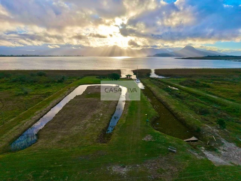 SÍTIO À VENDA À BEIRA DA LAGOA DO PALMITAL – OSÓRIO/RS: 12ª foto da galeria de imagens do imóvel