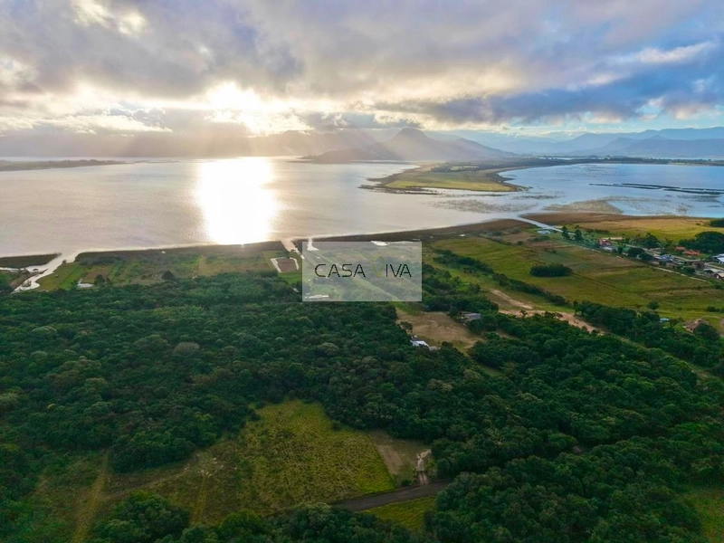 SÍTIO À VENDA À BEIRA DA LAGOA DO PALMITAL – OSÓRIO/RS: 6ª foto da galeria de imagens do imóvel