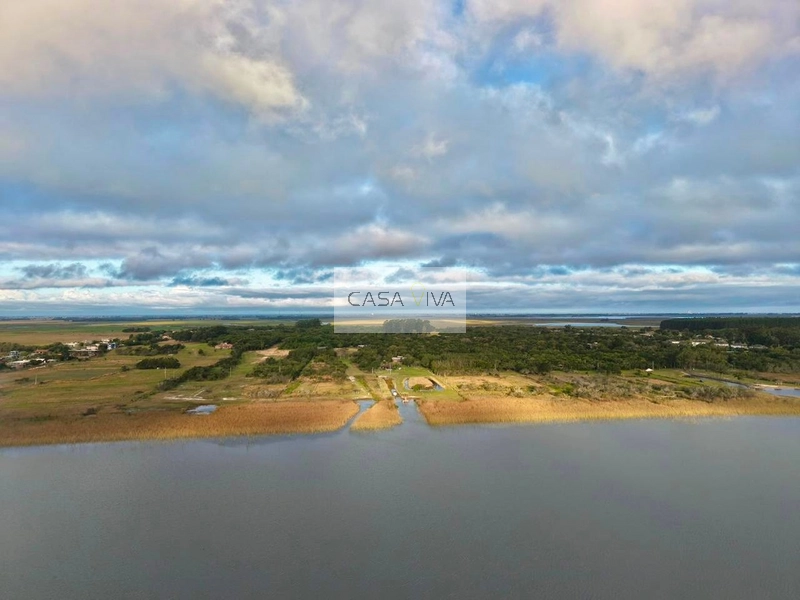 SÍTIO À VENDA À BEIRA DA LAGOA DO PALMITAL – OSÓRIO/RS: 10ª foto da galeria de imagens do imóvel