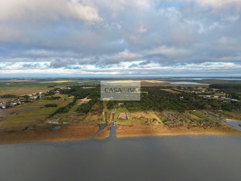 SÍTIO À VENDA À BEIRA DA LAGOA DO PALMITAL – OSÓRIO/RS: 9ª foto da galeria de imagens do imóvel