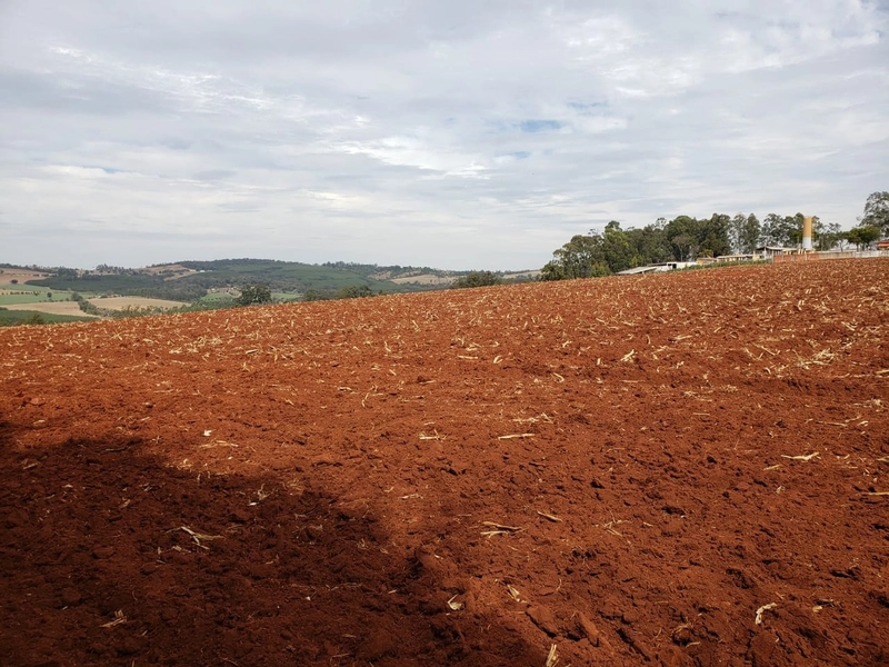 Excelente área rural de 2,69 alqueires a venda em Tatui: 7ª foto da galeria de imagens do imóvel