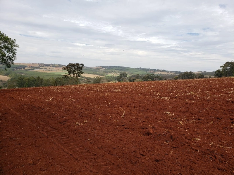 Excelente área rural de 2,69 alqueires a venda em Tatui: 6ª foto da galeria de imagens do imóvel