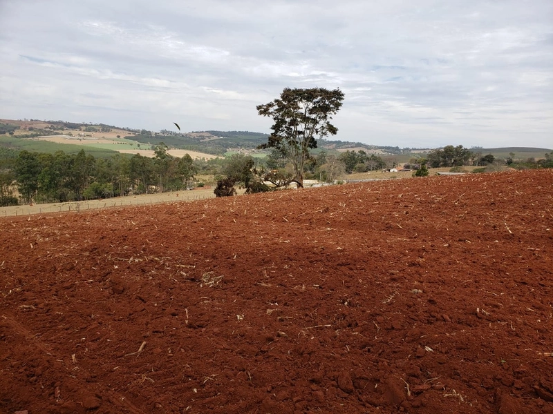 Excelente área rural de 2,69 alqueires a venda em Tatui: 4ª foto da galeria de imagens do imóvel