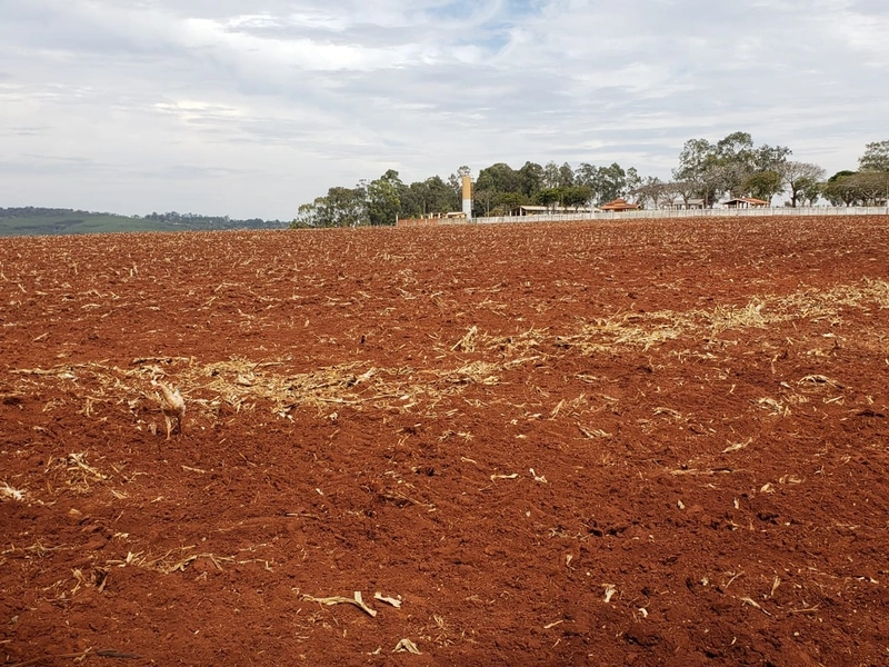 Excelente área rural de 2,69 alqueires a venda em Tatui: 10ª foto da galeria de imagens do imóvel