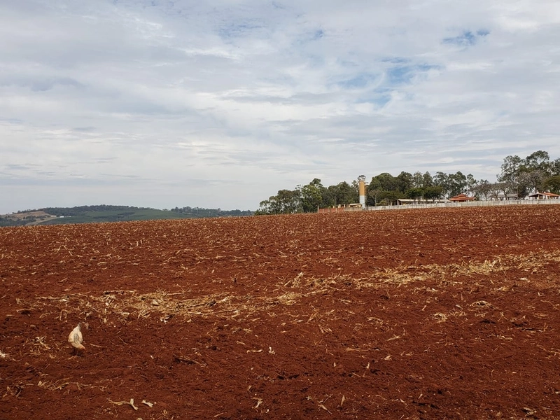 Excelente área rural de 2,69 alqueires a venda em Tatui: 8ª foto da galeria de imagens do imóvel