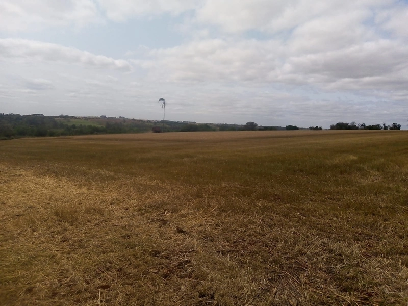 Excelente área rural em Cesareo Lange: 3ª foto da galeria de imagens do imóvel