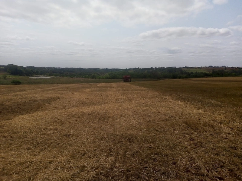 Excelente área rural em Cesareo Lange: 5ª foto da galeria de imagens do imóvel