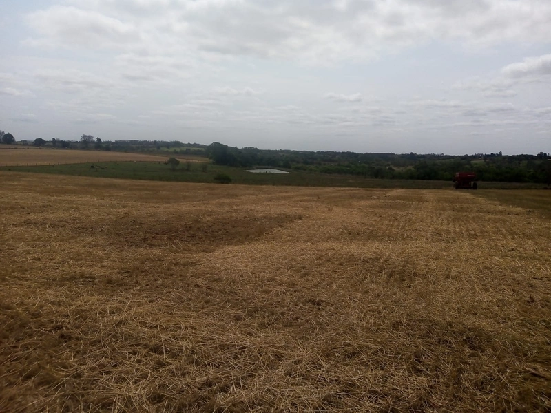 Excelente área rural em Cesareo Lange: 2ª foto da galeria de imagens do imóvel
