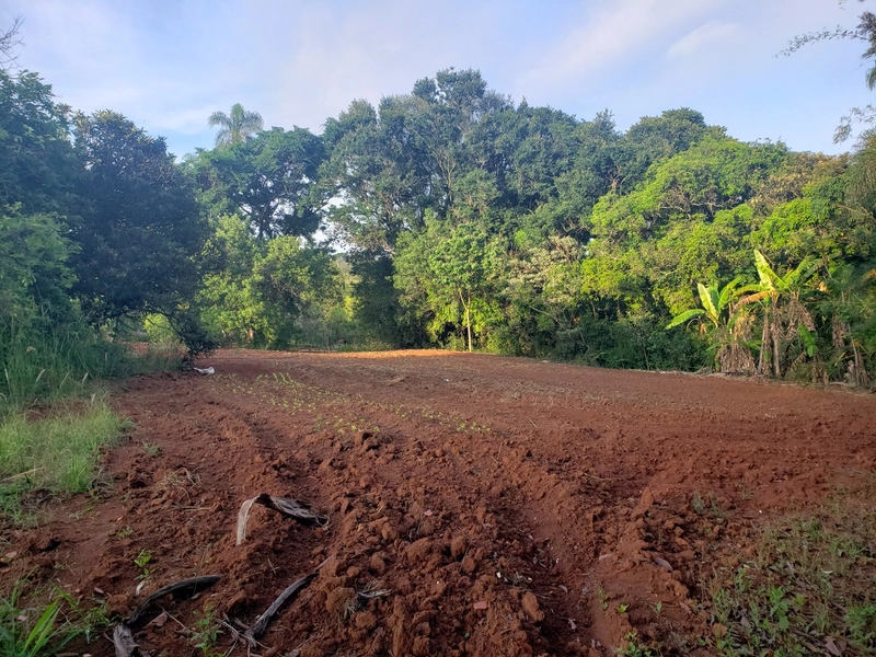 Excelente chacara de 20.000m2 a venda na Agua branca porteira fechada: 5ª foto da galeria de imagens do imóvel