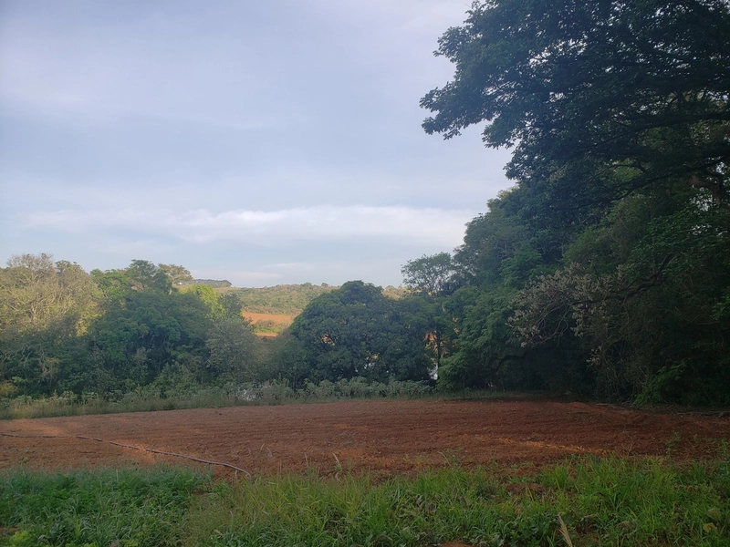 Excelente chacara de 20.000m2 a venda na Agua branca porteira fechada: 7ª foto da galeria de imagens do imóvel