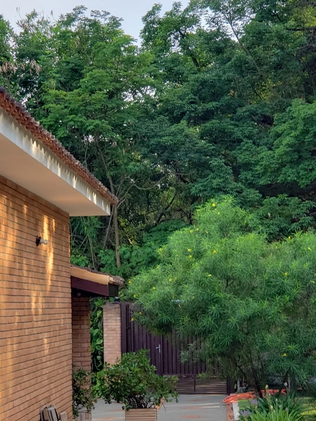 Excelente chacara de 20.000m2 a venda na Agua branca porteira fechada: 17ª foto da galeria de imagens do imóvel
