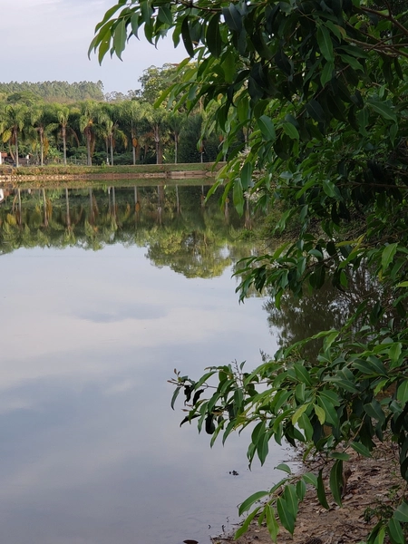 Excelente chacara de 20.000m2 a venda na Agua branca porteira fechada: 9ª foto da galeria de imagens do imóvel
