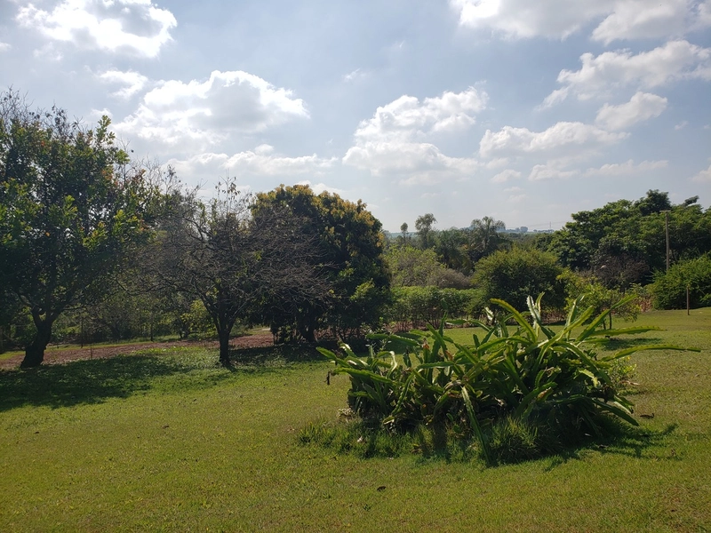 Chácara arborizada para relaxar e desfrutar com familiares e amigos.: 29ª foto da galeria de imagens do imóvel