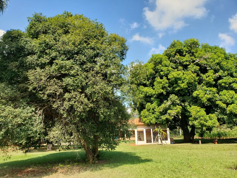 Chácara arborizada para relaxar e desfrutar com familiares e amigos.: 30ª foto da galeria de imagens do imóvel