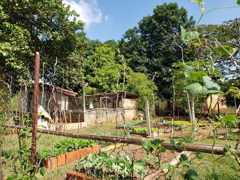 Chácara arborizada para relaxar e desfrutar com familiares e amigos.: 28ª foto da galeria de imagens do imóvel