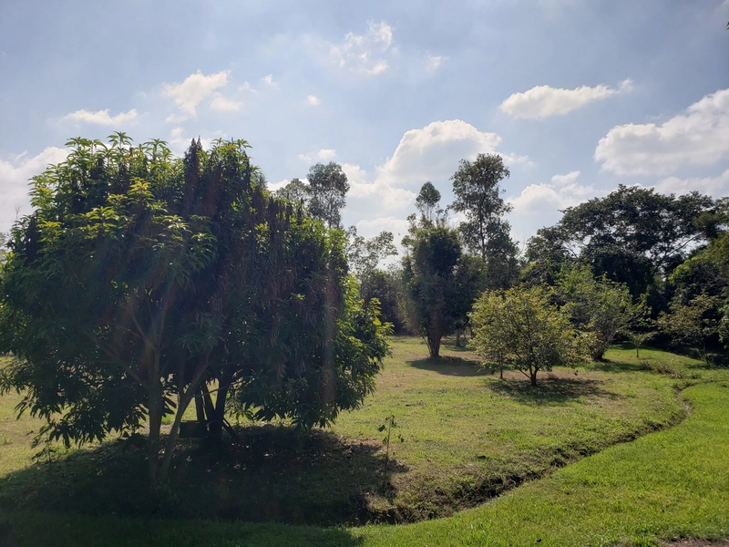 Chácara arborizada para relaxar e desfrutar com familiares e amigos.: 35ª foto da galeria de imagens do imóvel
