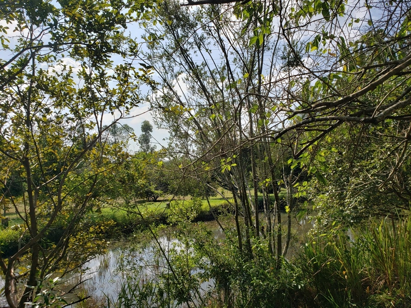 Chácara arborizada para relaxar e desfrutar com familiares e amigos.: 33ª foto da galeria de imagens do imóvel