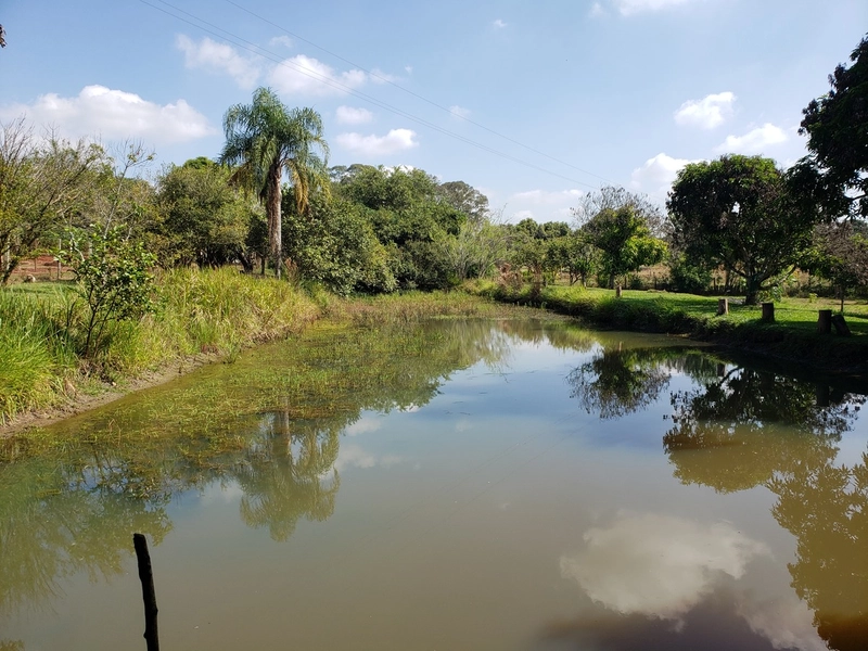 Chácara arborizada para relaxar e desfrutar com familiares e amigos.: 41ª foto da galeria de imagens do imóvel