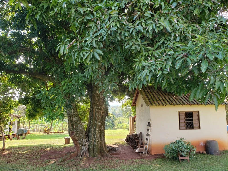 Chácara arborizada para relaxar e desfrutar com familiares e amigos.: 21ª foto da galeria de imagens do imóvel