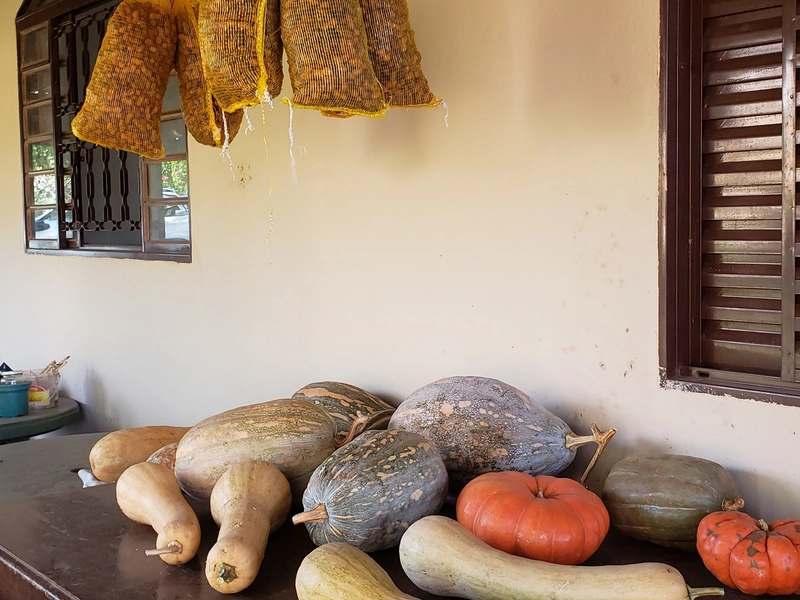 Chácara arborizada para relaxar e desfrutar com familiares e amigos.: 49ª foto da galeria de imagens do imóvel