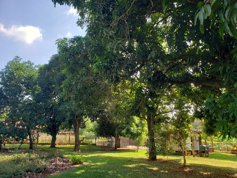 Chácara arborizada para relaxar e desfrutar com familiares e amigos.: 22ª foto da galeria de imagens do imóvel