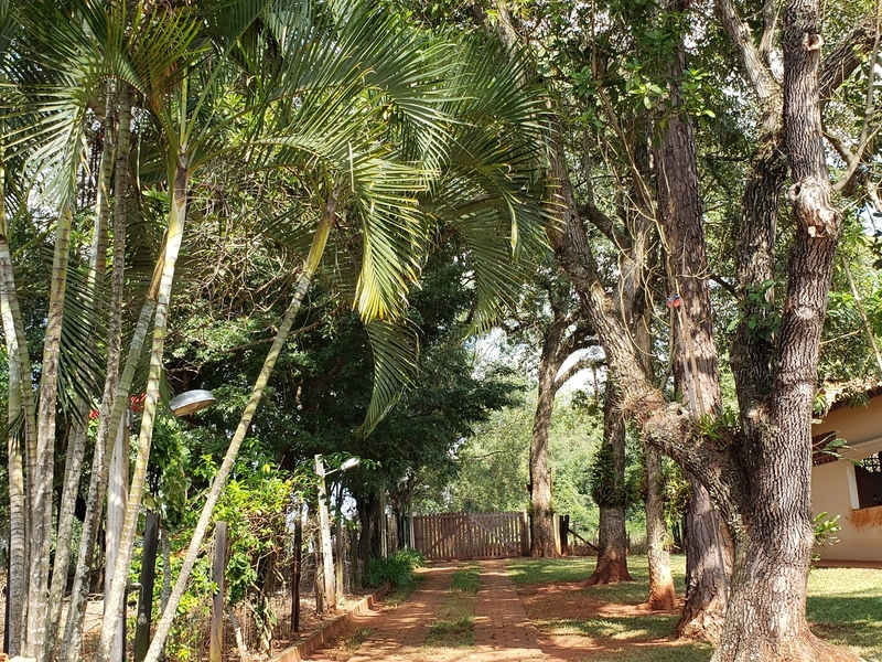 Chácara arborizada para relaxar e desfrutar com familiares e amigos.: 50ª foto da galeria de imagens do imóvel