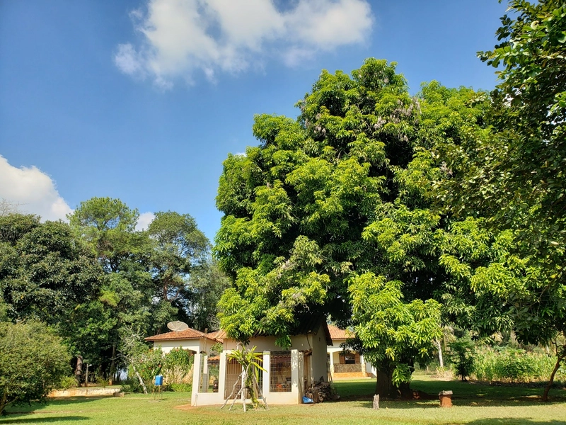 Chácara arborizada para relaxar e desfrutar com familiares e amigos.: 46ª foto da galeria de imagens do imóvel