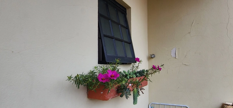 Excelente casa a venda no bairro dr Laurindo: 5ª foto da galeria de imagens do imóvel