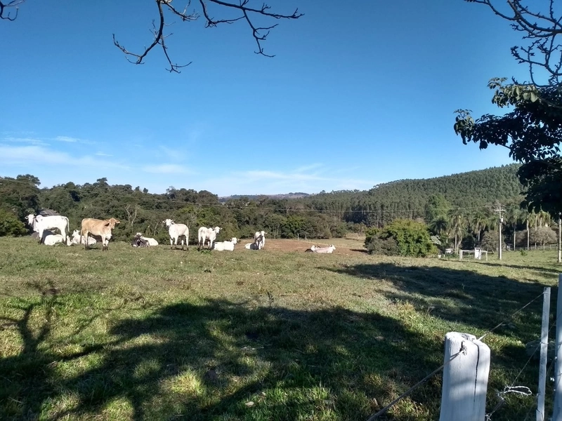 Sitio em Guarei: 3ª foto da galeria de imagens do imóvel